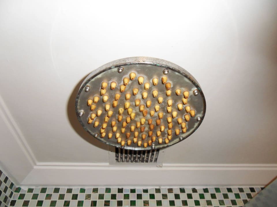 Der Duschkopf The Royal Plaza Hotel