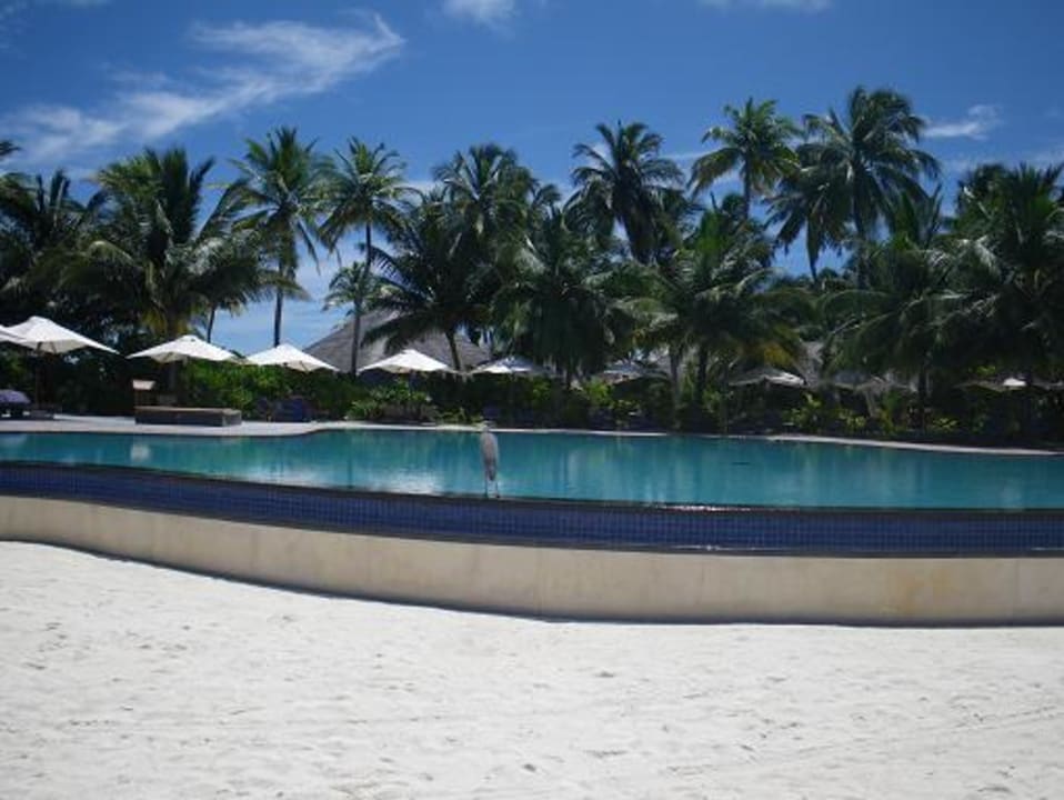 Der Pool Veligandu Maldives Resort Island