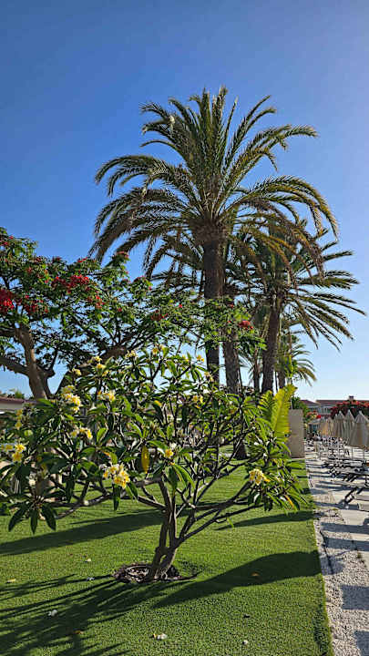 Gartenanlage Kumara Serenoa by Lopesan Hotels