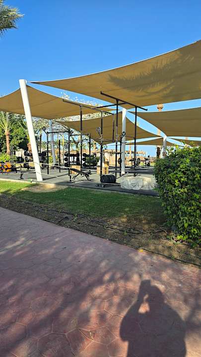 Sport & Freizeit Desert Rose