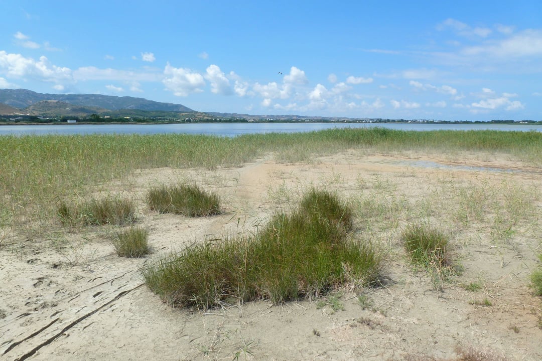 Am Salzsee Sentido More Meni Residence & Suites