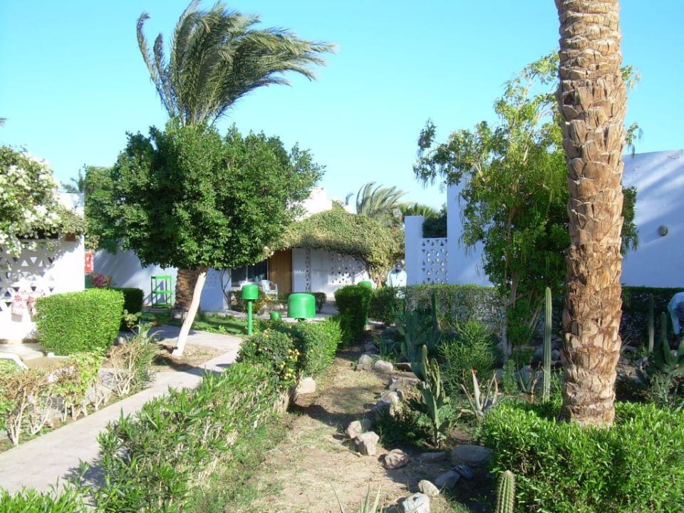 Территория Shams Safaga Resort