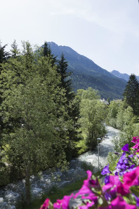 Hausberg Appartementhaus Elmo