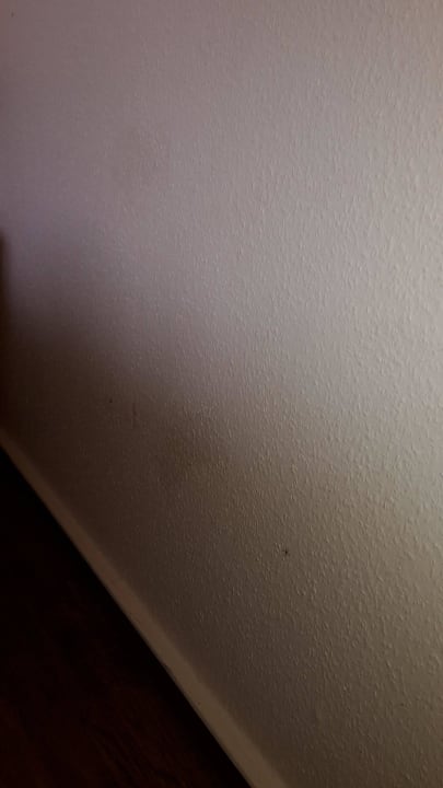 Wand  Ferienwohnungen Ferienpark Weissenhäuser Strand