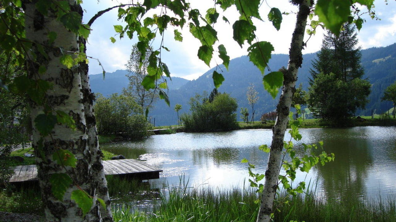 Detail Naturbadeteich Übergossene Alm Resort