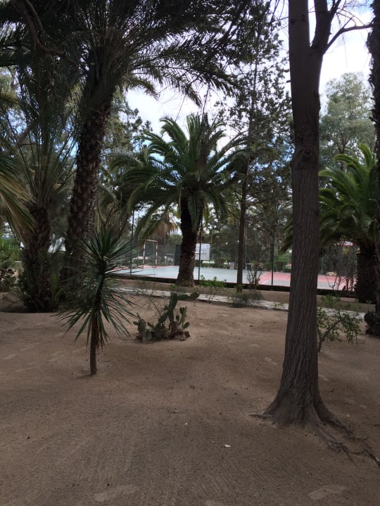 Gartenanlage Marhaba Royal Salem