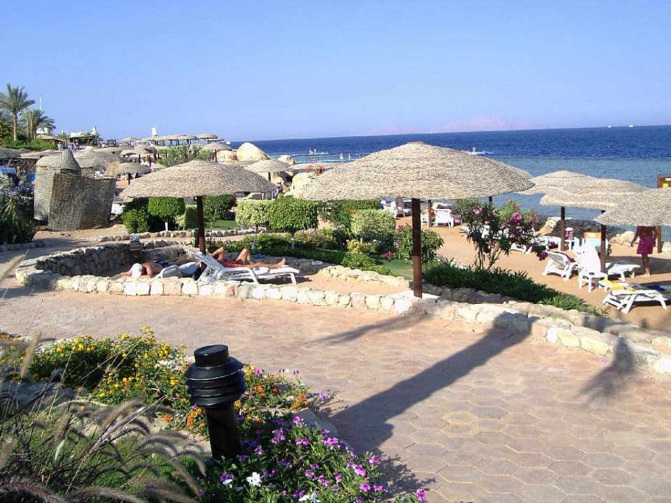 schön angelegte Strandterrassen Pickalbatros Royal Grand Resort - Sharm El Sheikh