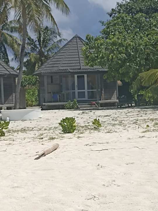 Zimmer Kuredu Island Resort & Spa