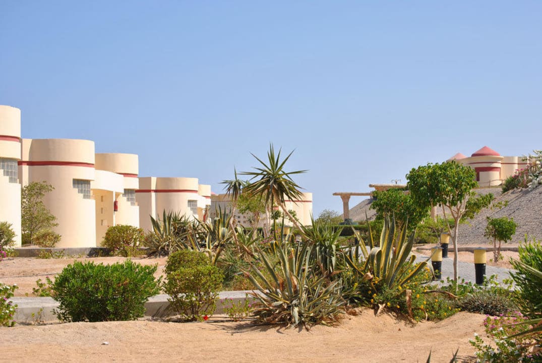 Widok przed bungalow Siva Golden Bay Makadi