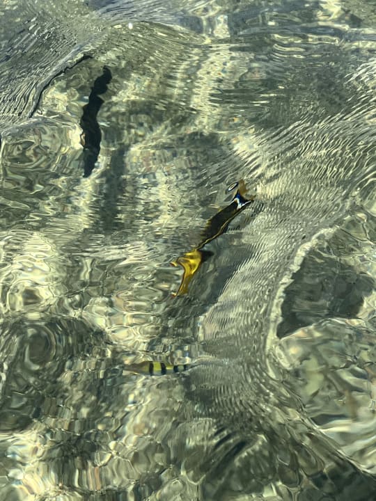 Strand Three Corners Sea Beach Resort