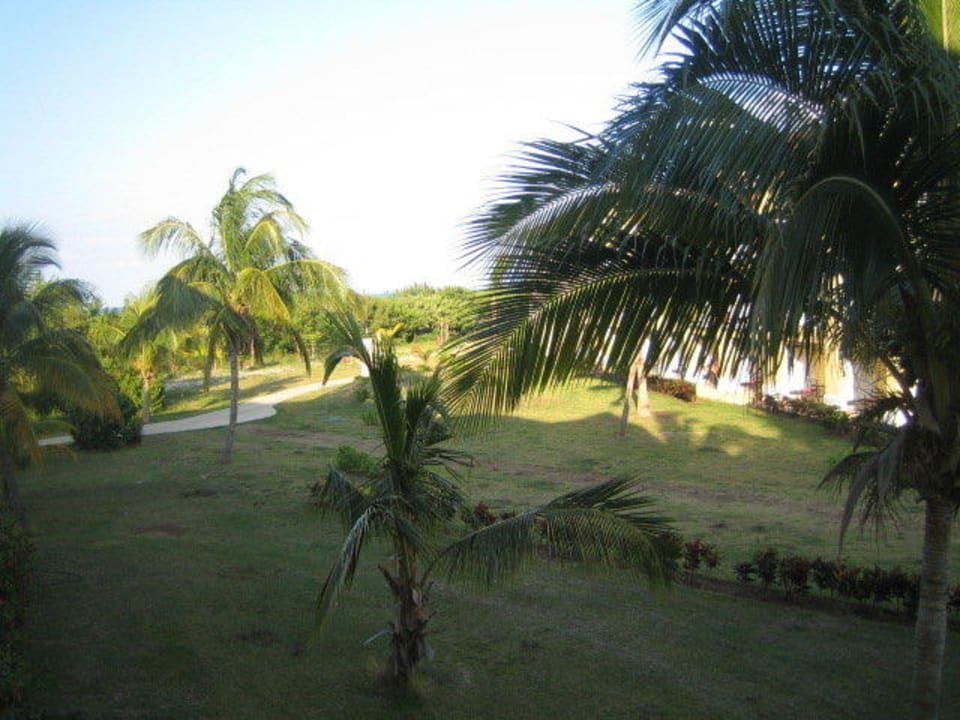 Vom Balkon Paradisus Princesa del Mar Resort & Spa - Adults only