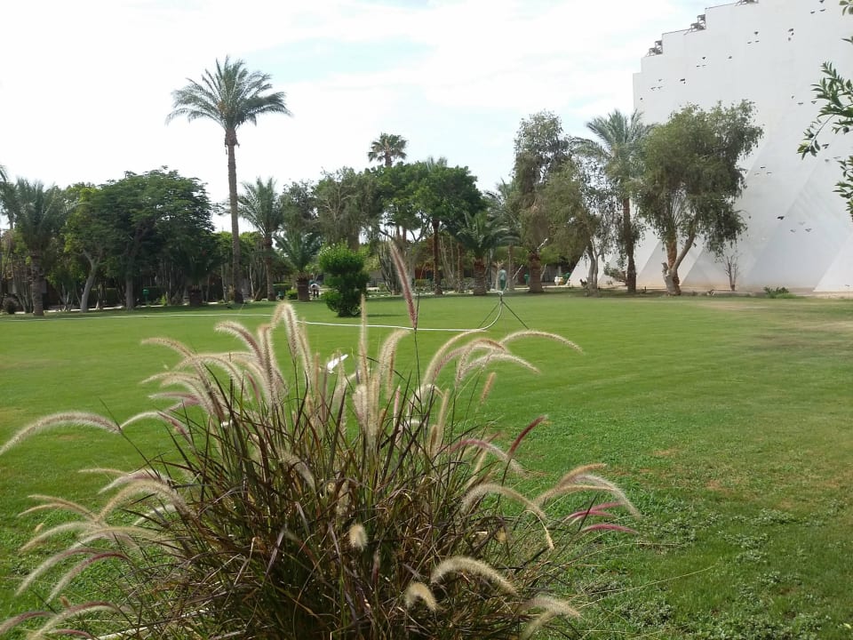 Территория отеля Shams Safaga Resort