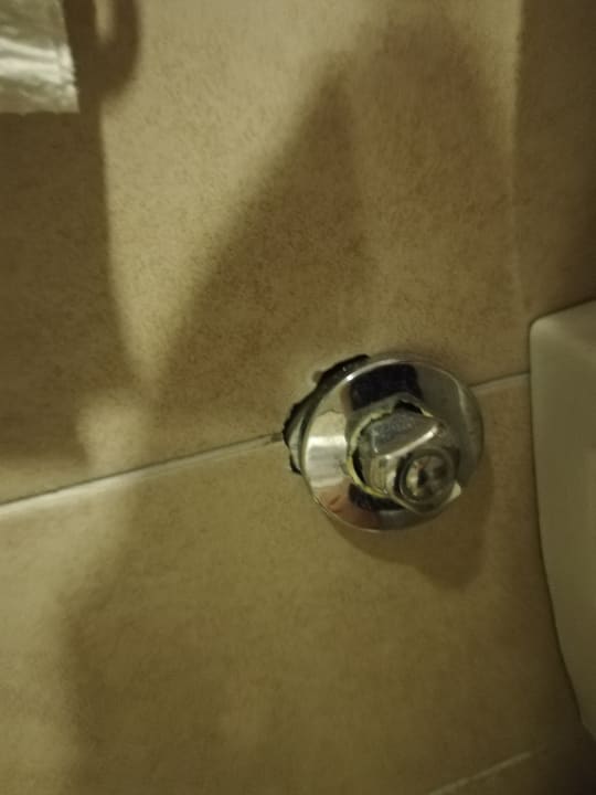 Zimmer Well Palace Side