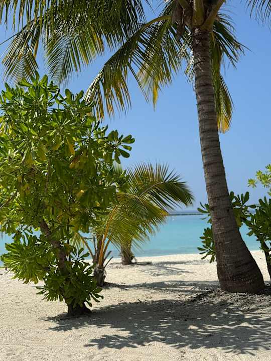 Außenansicht Adaaran Select Meedhupparu Island Resort - Premium All Inclusive