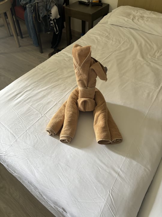 Zimmer SBH Hotel Taro Beach