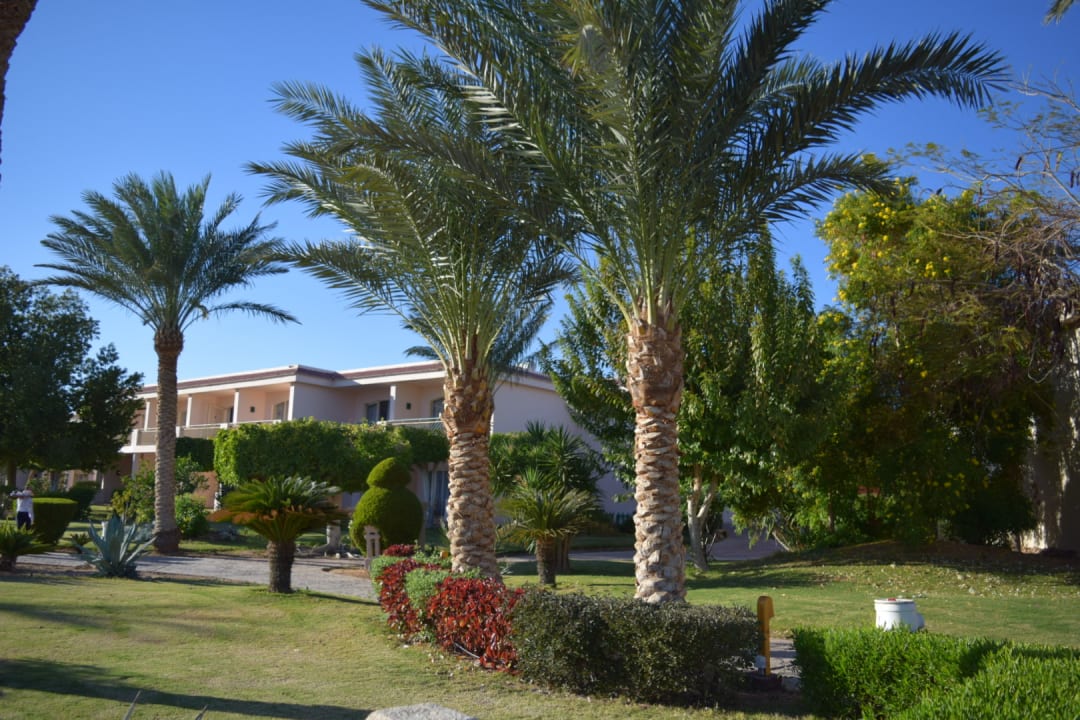 Gartenanlage Parrotel Beach Resort