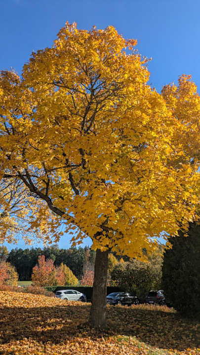 Außenansicht Hotel Reiters Supreme