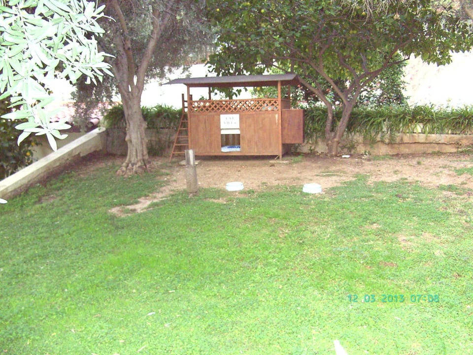 Katzenhaus Arum Barut Collection
