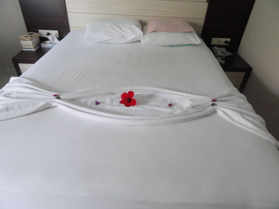 Bett Opia Hotel