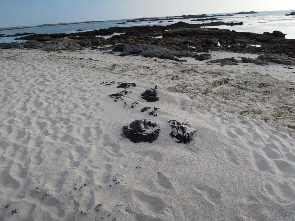 Müllsäcke Wyndham Garden Salalah Mirbat