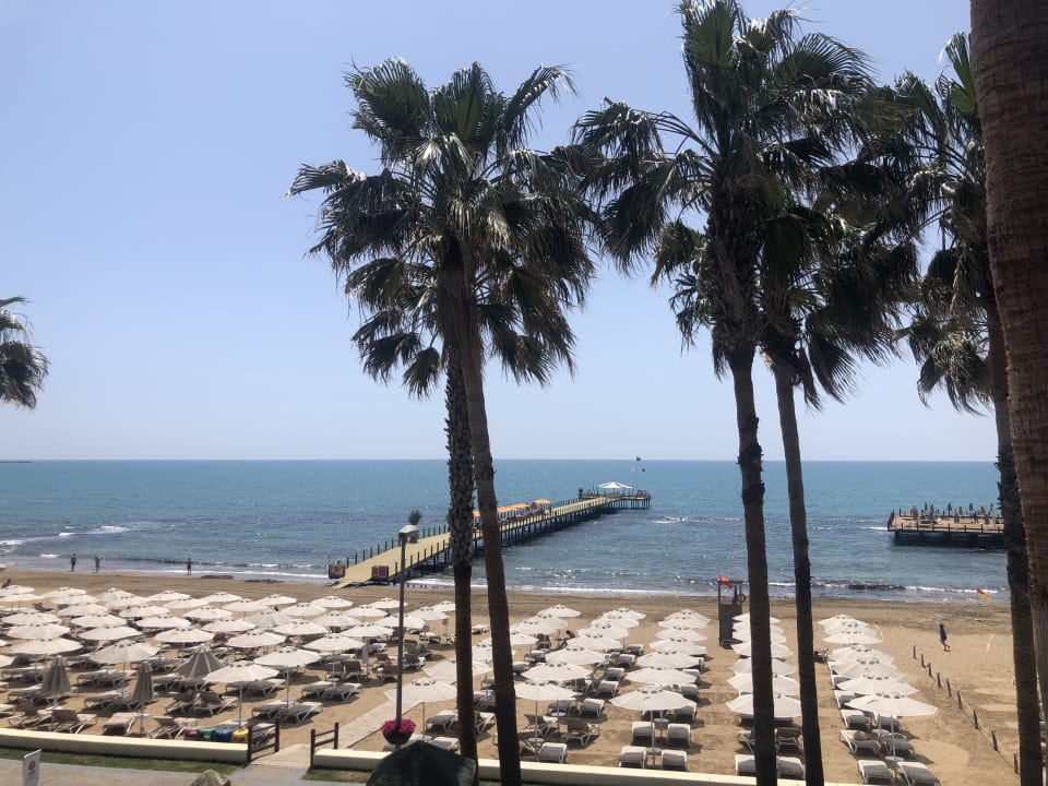 Gastro Arum Barut Collection