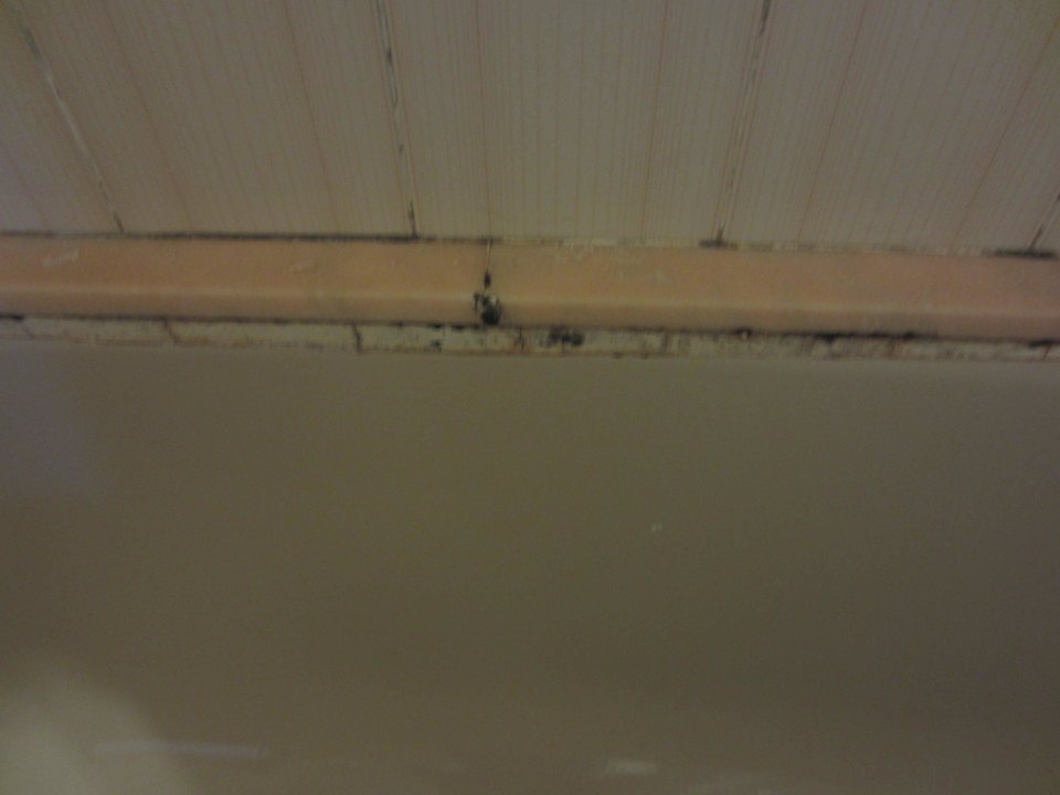 Schimmel im Bad Bei Juan Playa Blanca