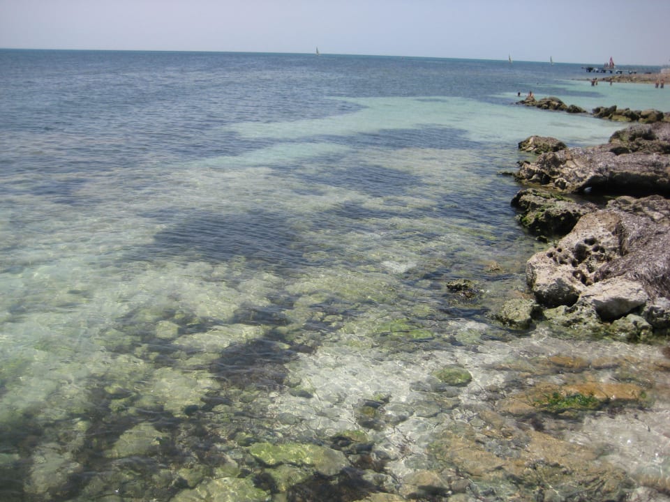 Strand Hotel El Mouradi Djerba Menzel