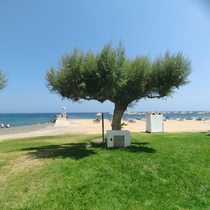 Strand TUI BLUE Oceanis Beach and Spa Resort