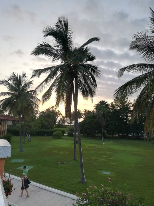 Gartenanlage The Kairaba Beach Hotel