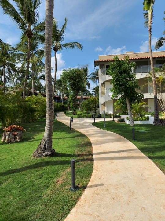 Gartenanlage Catalonia Royal La Romana - Adults only