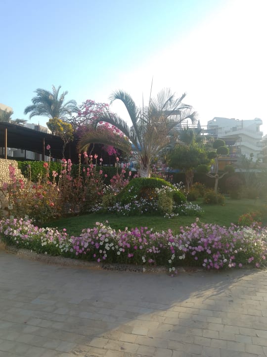 Gartenanlage Seagull Beach Resort