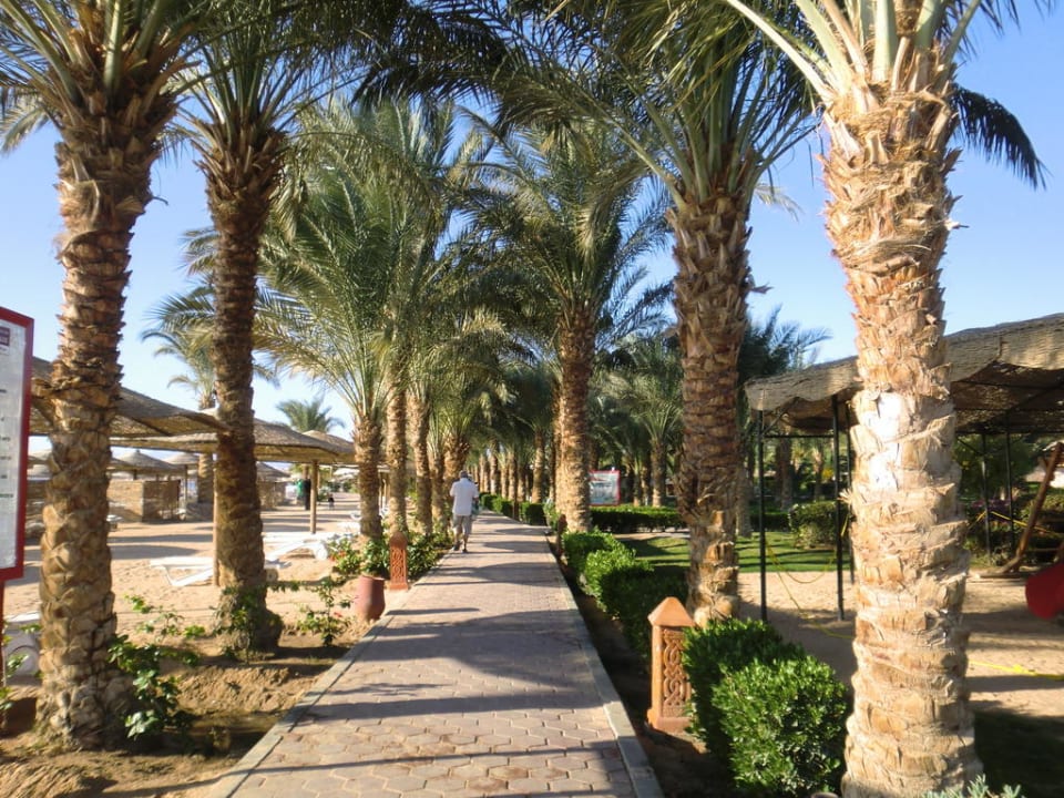 Strand- Promenade Fort Arabesque Resort, Spa & Villas