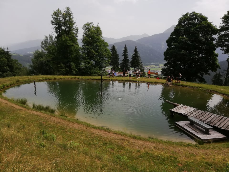 Gartenanlage Hotel Alpenwelt