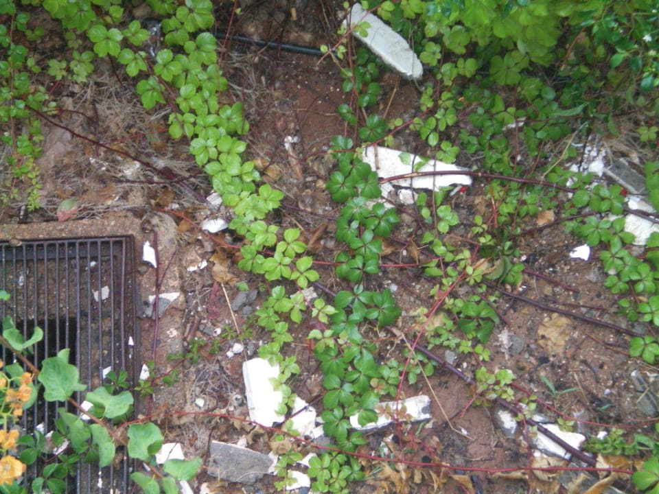 Müll Hersonissos Palace