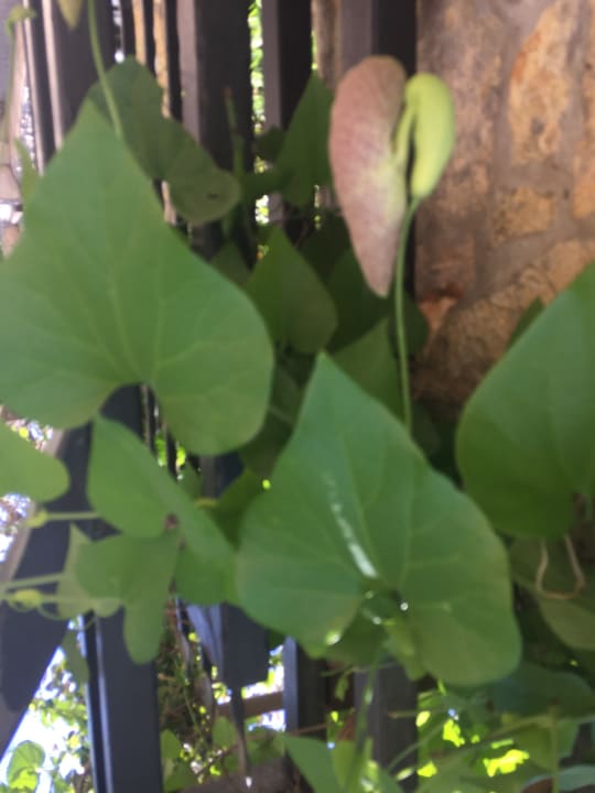 Sonstiges Floria Beach Hotel