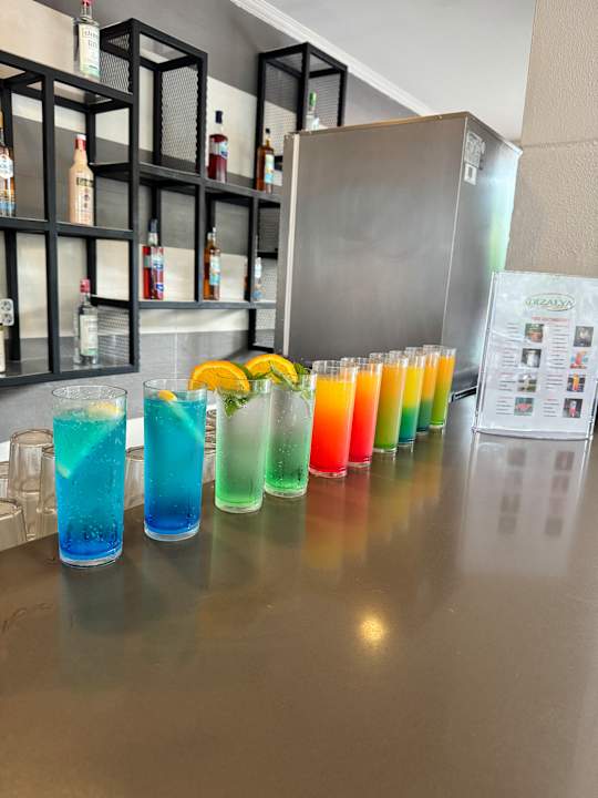 Lobby Dizalya Palm Garden