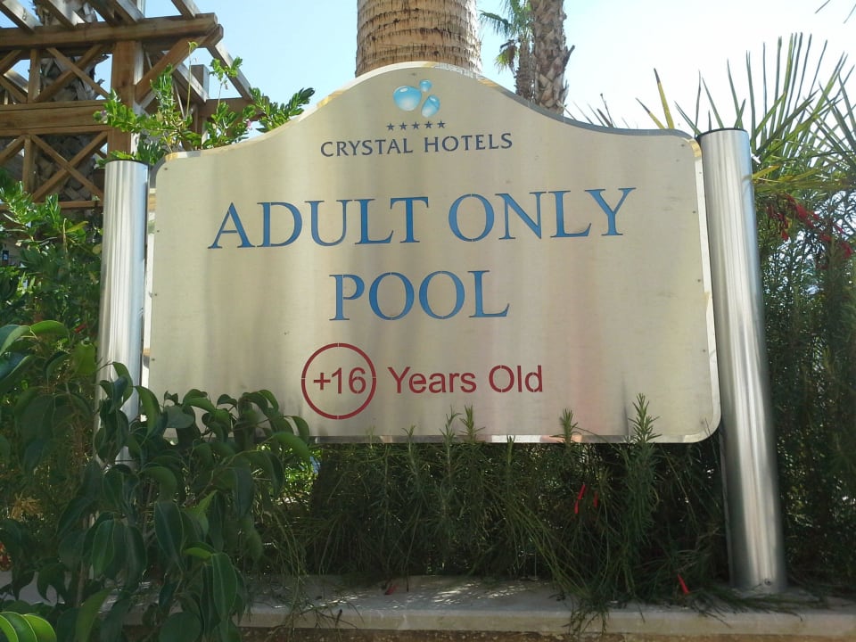 Der Erwachsenenbereich am Pool Crystal Sunset Pearl Collection