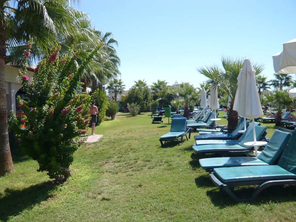 Liegewiese Hane Family Resort