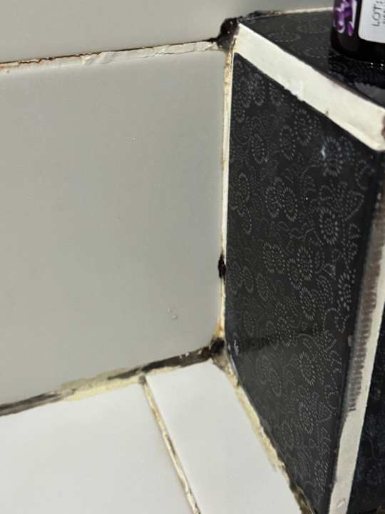 Zimmer Rachoni Bay Hotel