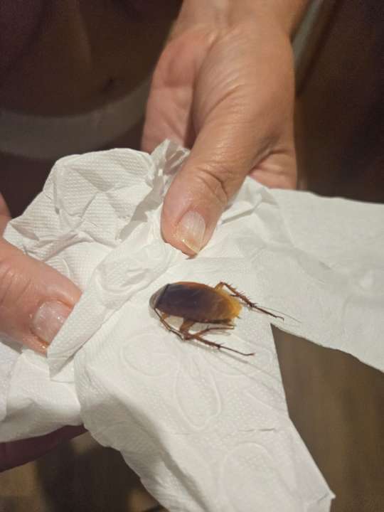 Zimmer Hotel Best Semiramis