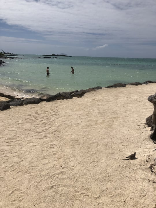 Strand Lagoon Attitude - Adults only