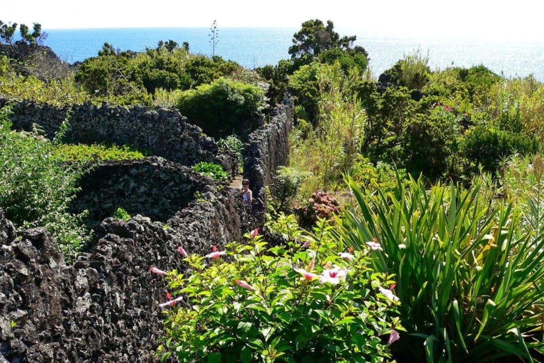 Wilder Garten Caloura Hotel Resort