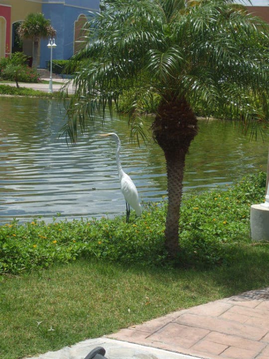 Anlage Ocean Blue & Sand