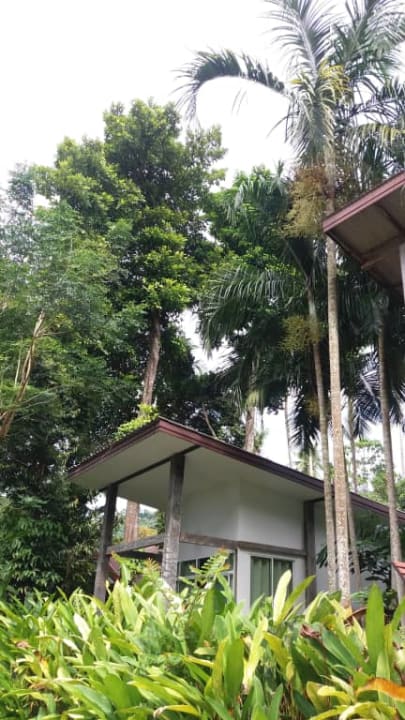 Hotel Ao Nang Paradise Resort Hotel Ao Nang Paradise Resort