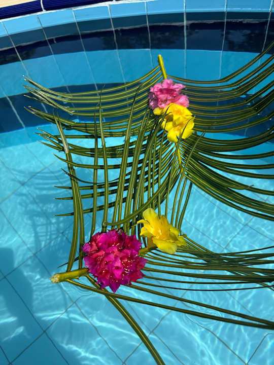 Pool Mandarin Resort Zanzibar