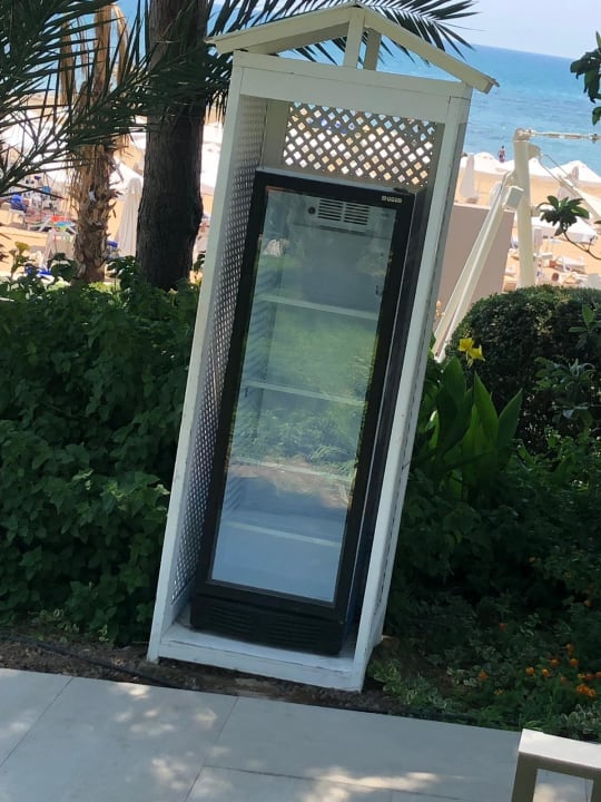 Sonstiges PALOMA Perissia