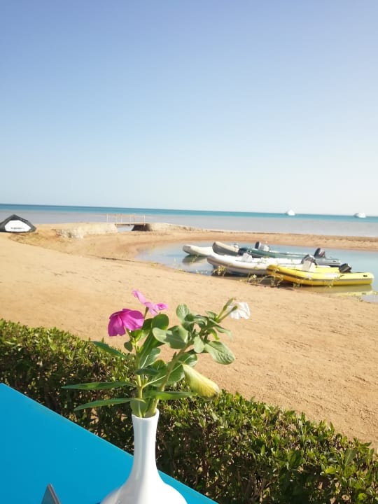 Strand Club Paradisio El Gouna, Red Sea