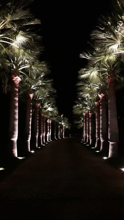 Garten Calimera Sirens Beach
