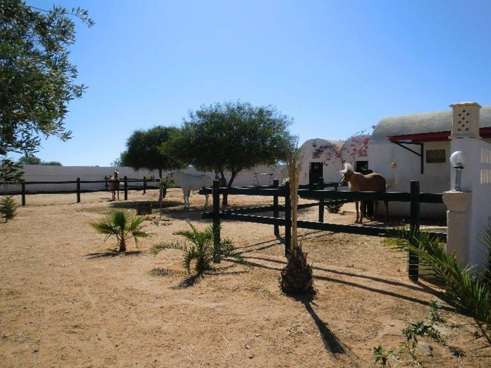 Reitstall Anlage Ranch El Castille Gästehaus