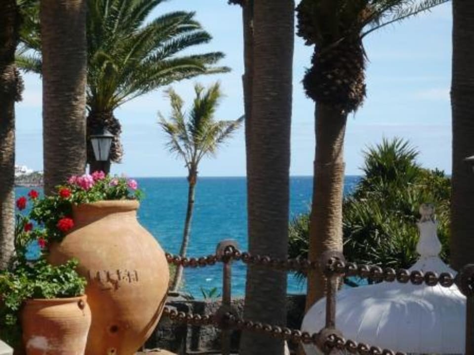 Traumblick im Palmengarten Hotel Fariones